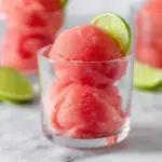 Watermelon Sorbet