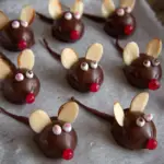 Chocolate Cherry Mice