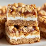 Copycat Salted Nut Roll Bars